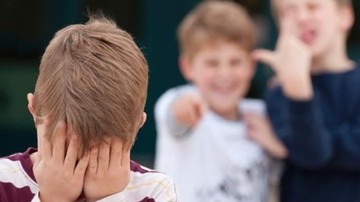 Что делать, если ребенка дразнят и обзывают в школе: 7 советов эксперта - Ребенок и социум, Психология, Подготовка к школе, Проблемы