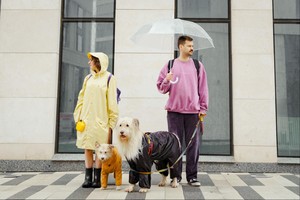Оптимист и пессимист: 5 отличий - Психологическое развитие, Интересное, Психология